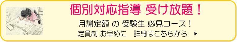 塾なのに個別対応通い放題　川口市,草加市,越谷市,さいたま市の躍進館