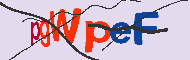 Captcha認証コード